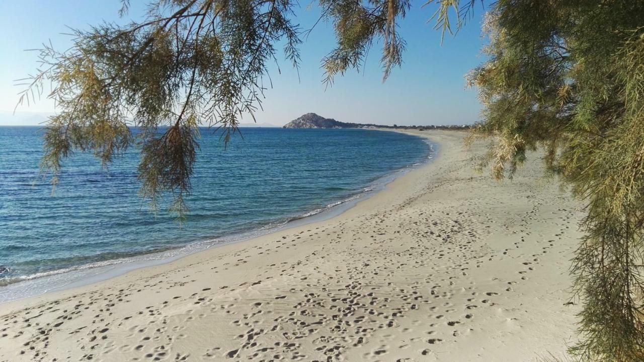 Naxos Is The Way Διαμέρισμα Kastrákion Εξωτερικό φωτογραφία